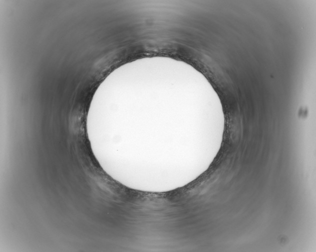 X0000090420770200708101941