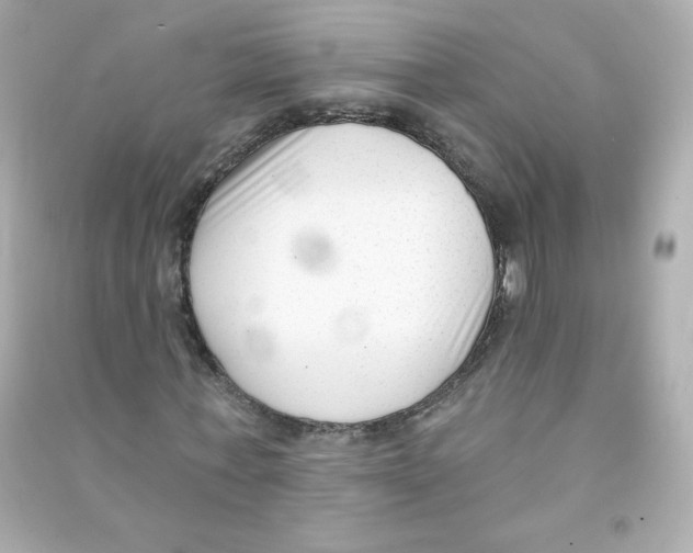 X0000090420771200708101941
