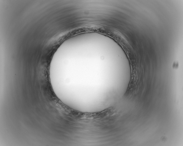 X0000090420773200708101941