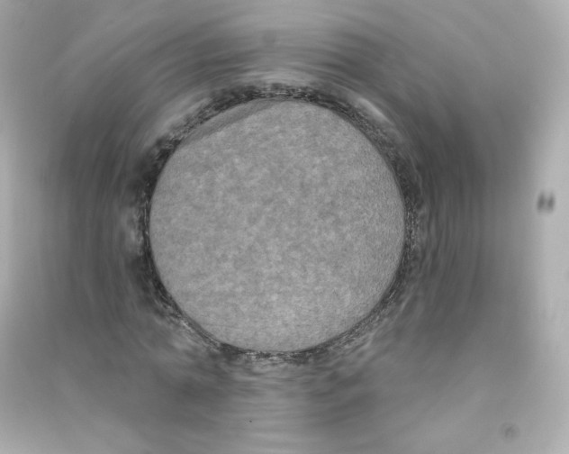 X0000090420774200708101941