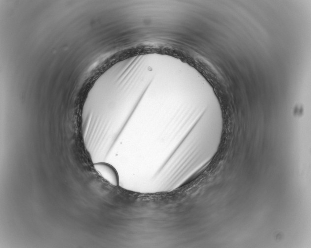 X0000090420776200708101941