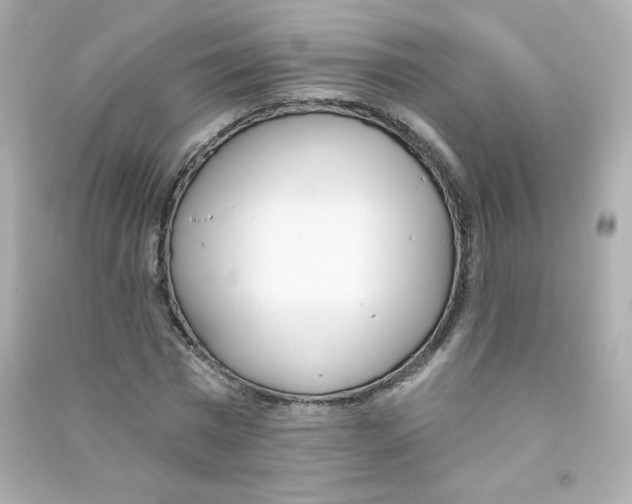 X0000090420777200708101941