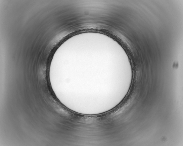 X0000090420778200708101941