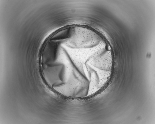 X0000090420779200708101941
