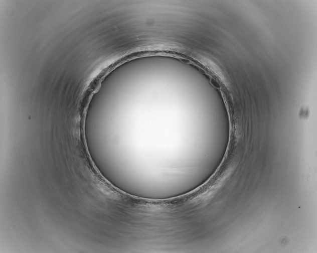 X0000090420781200708101941