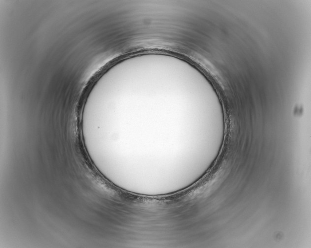 X0000090420782200708101941