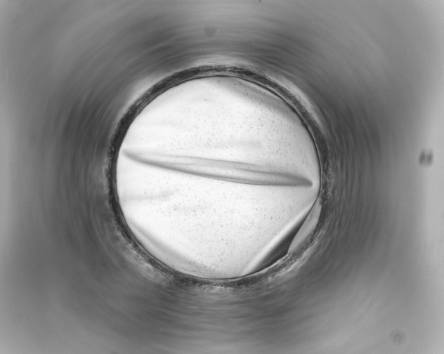 X0000090420783200708101941