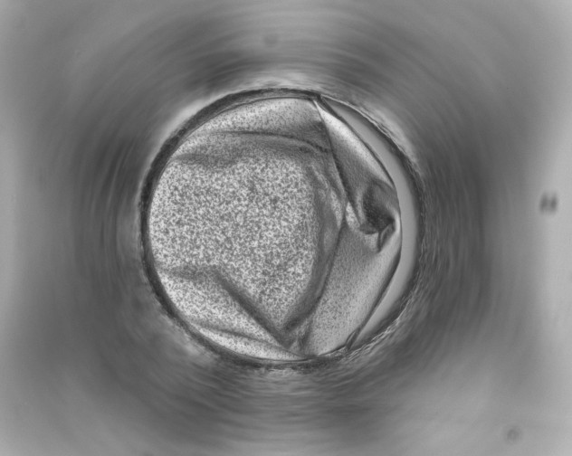 X0000090420784200708101941