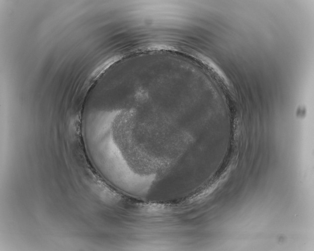 X0000090420785200708101941
