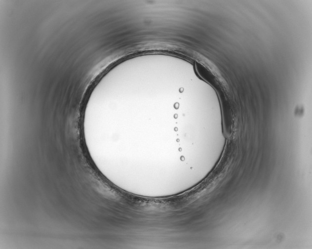 X0000090420786200708101941