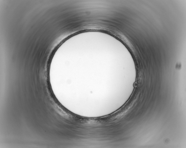 X0000090420787200708101941