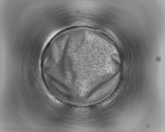 X0000090420788200708101941