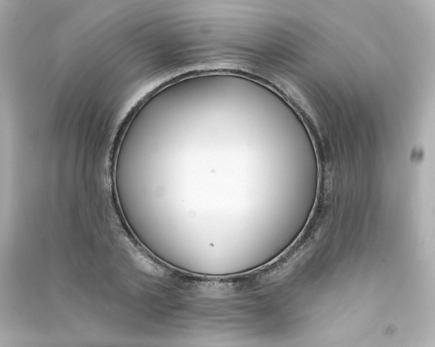 X0000090420789200708101941