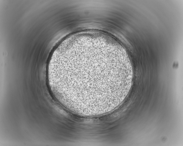 X0000090420790200708101941