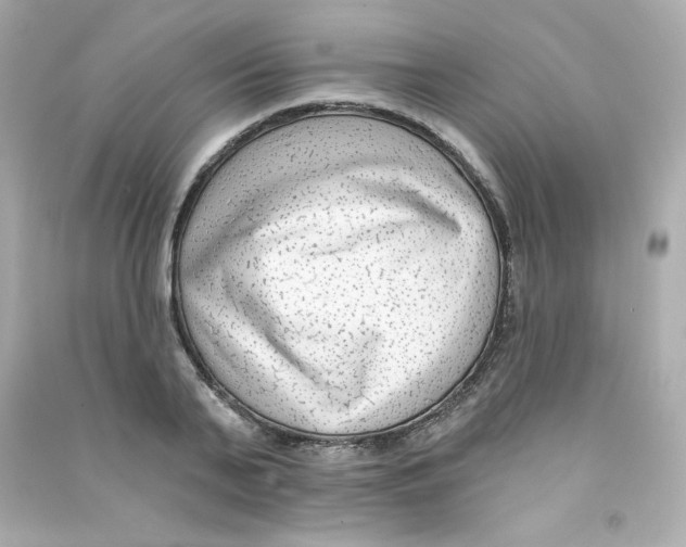 X0000090420791200708101941