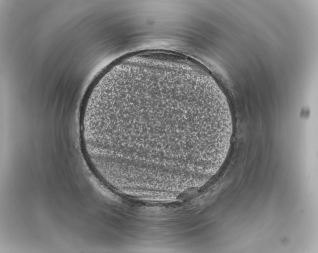X0000090420792200708101941
