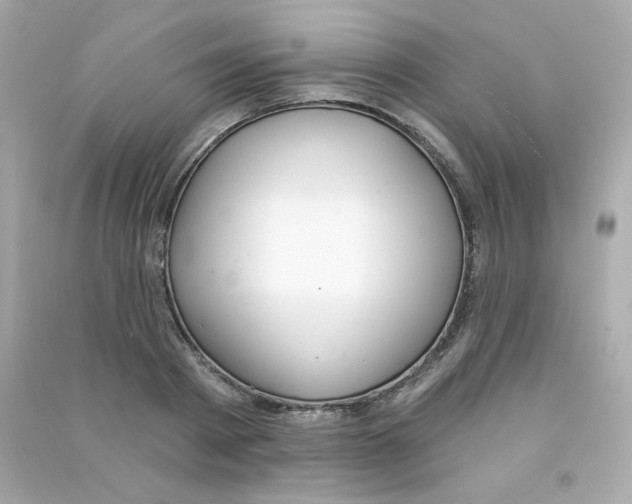 X0000090420793200708101941