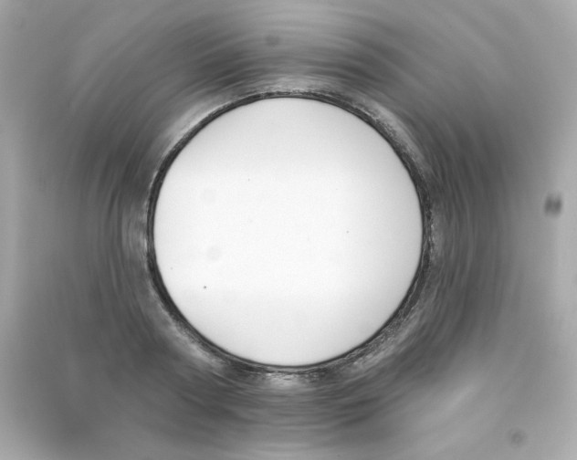X0000090420794200708101941