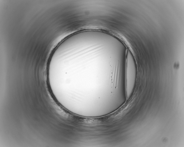 X0000090420795200708101941