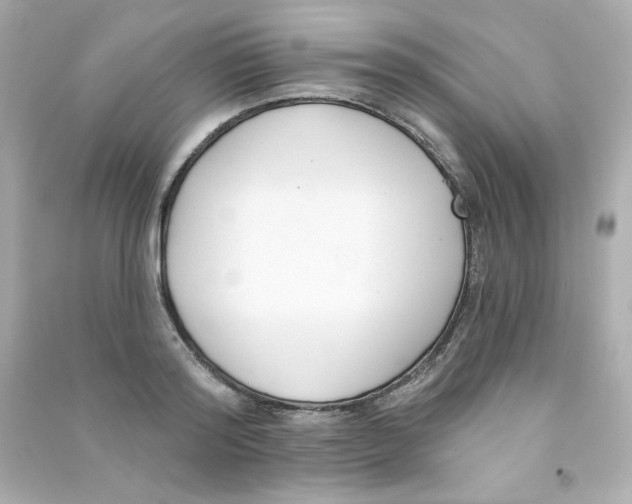 X0000090420796200708101941