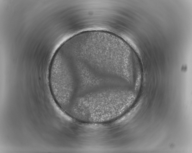 X0000090420797200708101941
