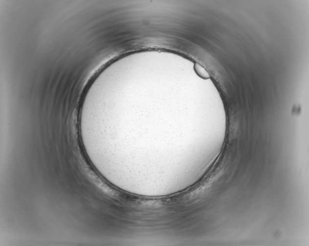 X0000090420798200708101941