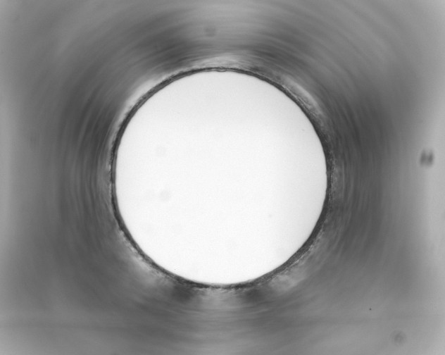 X0000090420800200708101941