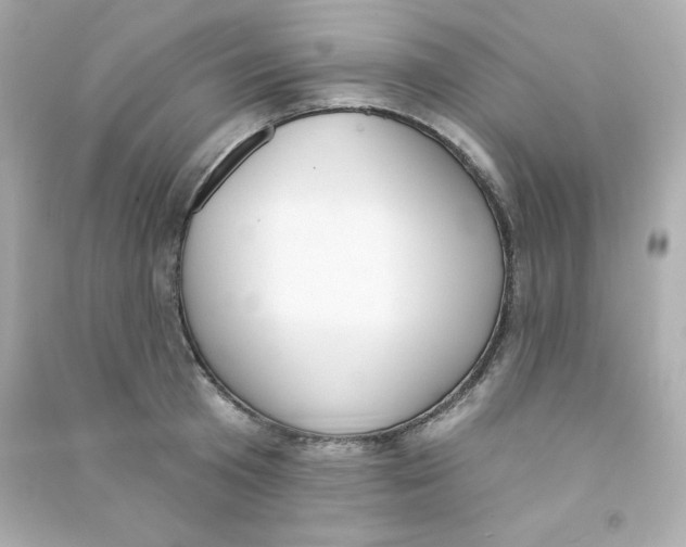 X0000090420801200708101941