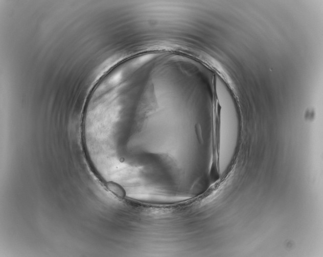 X0000090420802200708101941