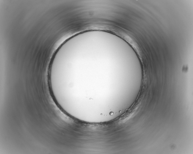 X0000090420803200708101941