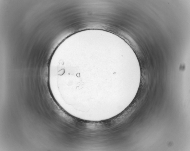 X0000090420804200708101941