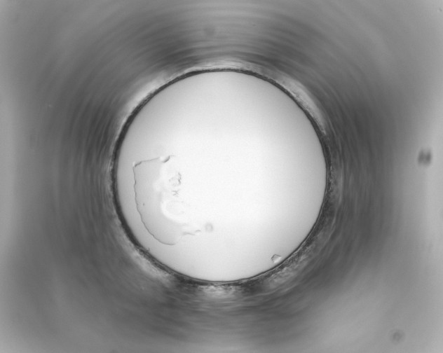 X0000090420805200708101941