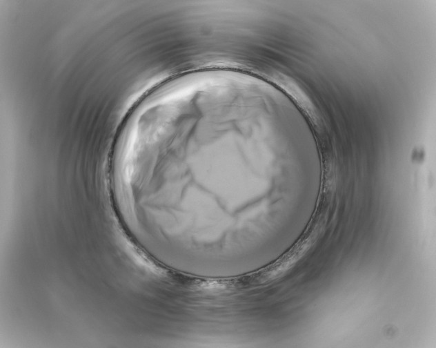 X0000090420806200708101941