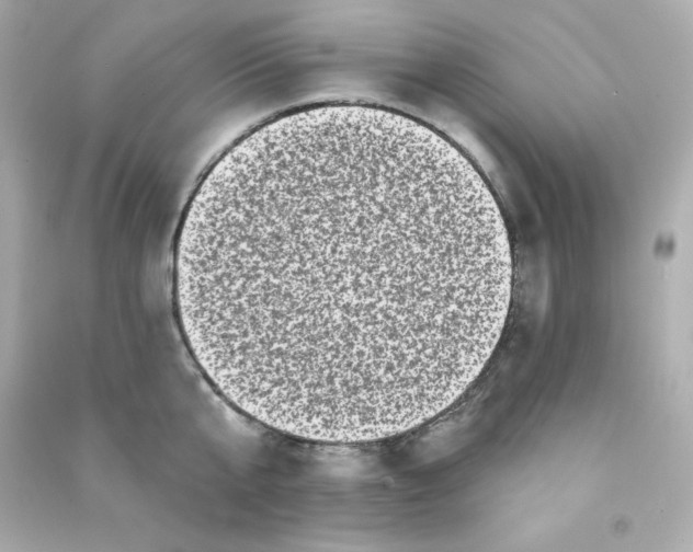 X0000090420807200708101941