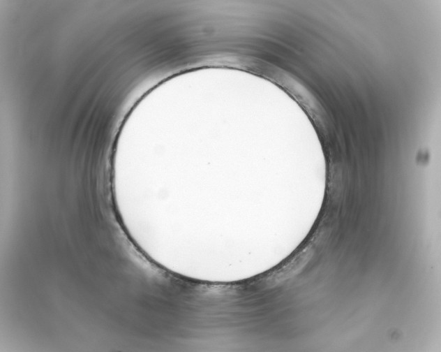 X0000090420808200708101941