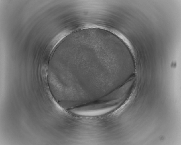 X0000090420809200708101941