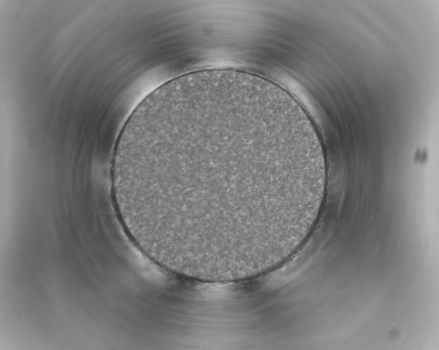 X0000090420810200708101941