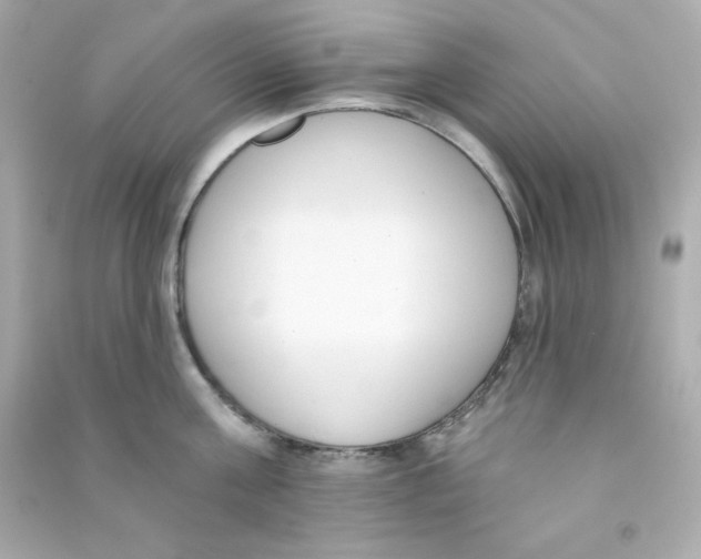 X0000090420811200708101941
