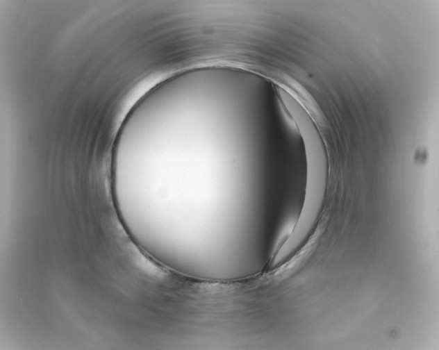 X0000090420812200708101941