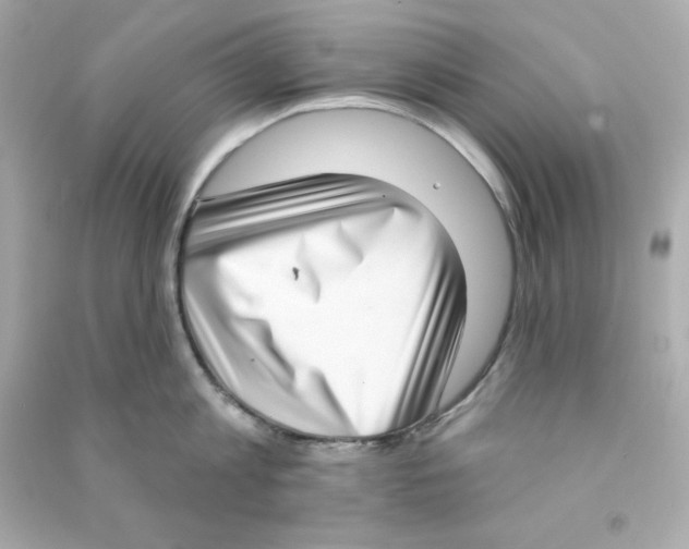 X0000090420813200708101941