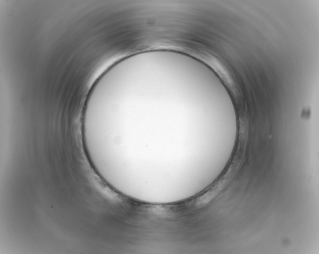 X0000090420814200708101941