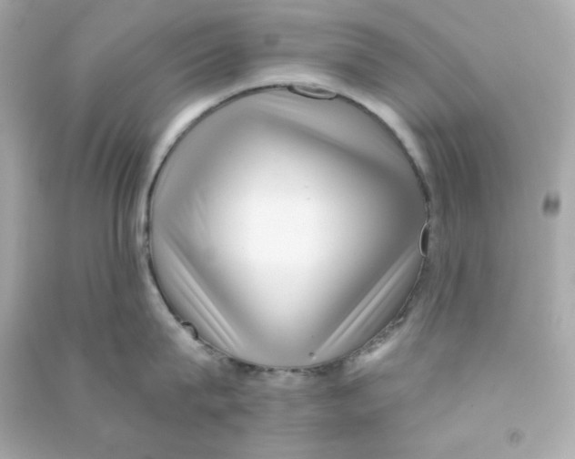 X0000090420815200708101941
