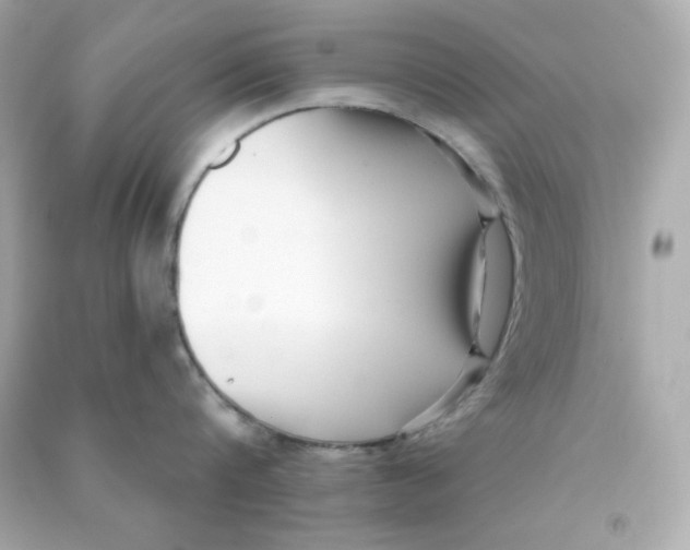 X0000090420816200708101941
