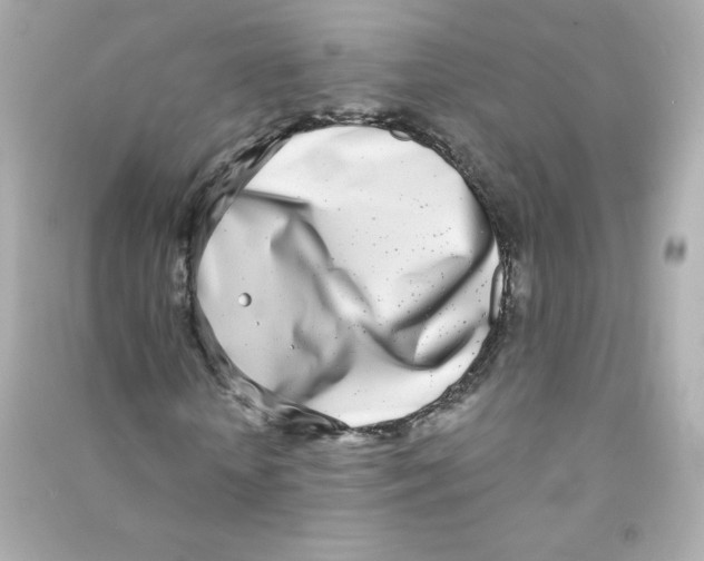 X0000090420818200708101940