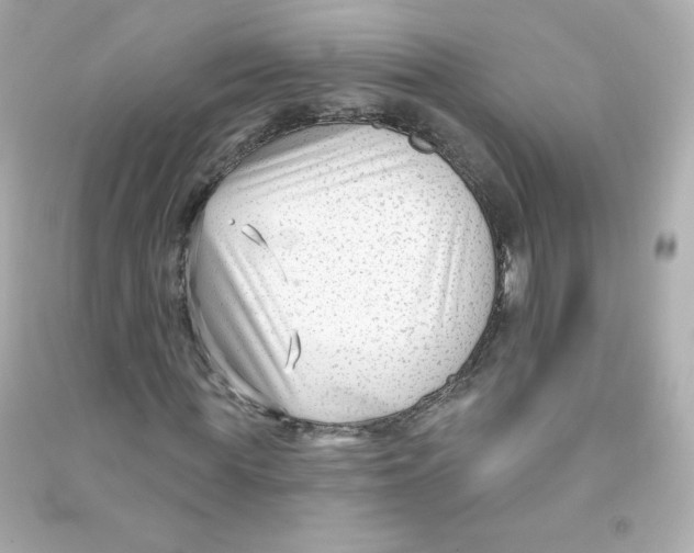 X0000090420819200708101940