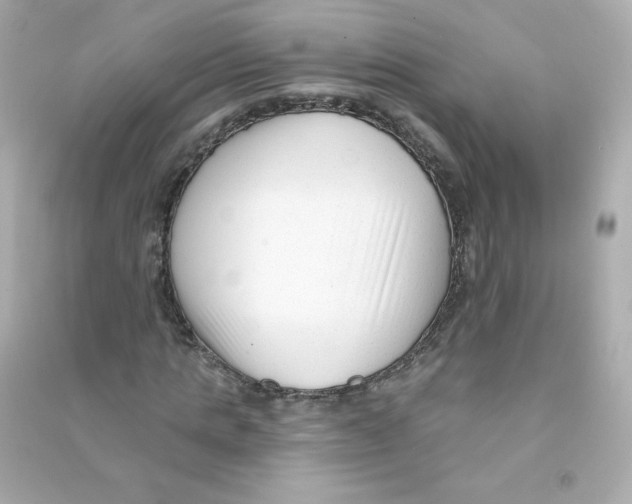 X0000090420821200708101940