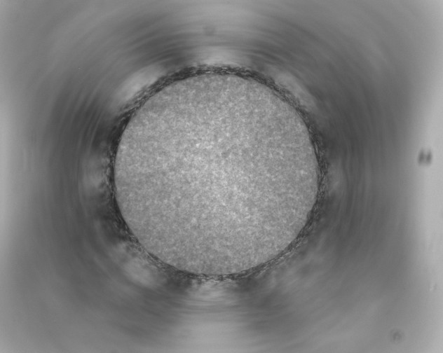 X0000090420824200708101940