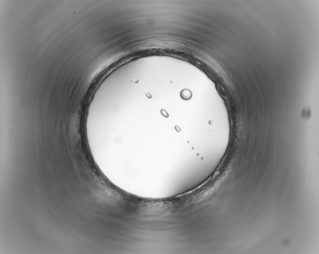 X0000090420826200708101940