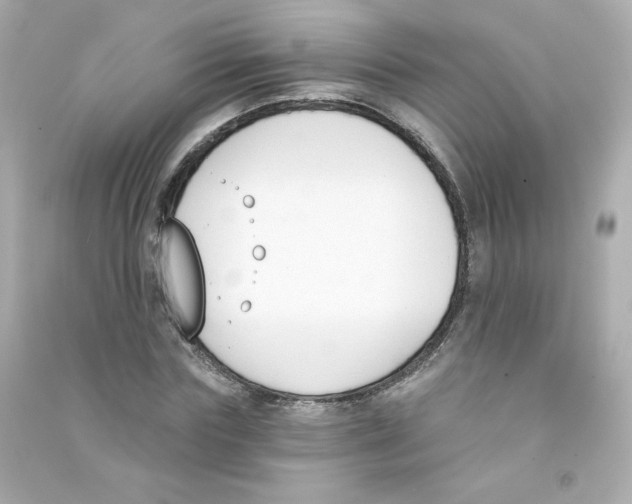 X0000090420827200708101940