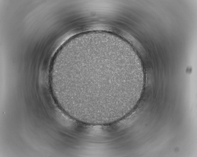 X0000090420828200708101940